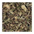 Чай Зеленый "Mint" / "Мятный зеленый чай" 024, 50 г (по 2.5 г в 1 пакетике), Coccole