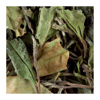 Чай зеленый листовой Pai Mu Tan «Pivoine blanche» / Пай Му Тан, вак.пакет 250 г, Dammann