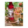 Сироп Wild Strawberry/Земляника, 1000мл, Monin